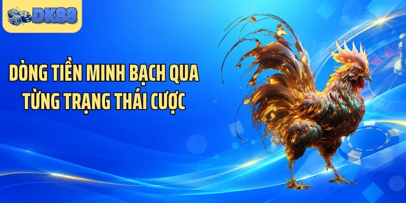 Dòng tiền minh bạch qua từng trạng thái cược