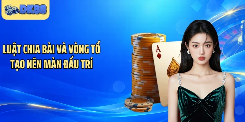 Luật chia bài và vòng tố tạo nên màn đấu trí
