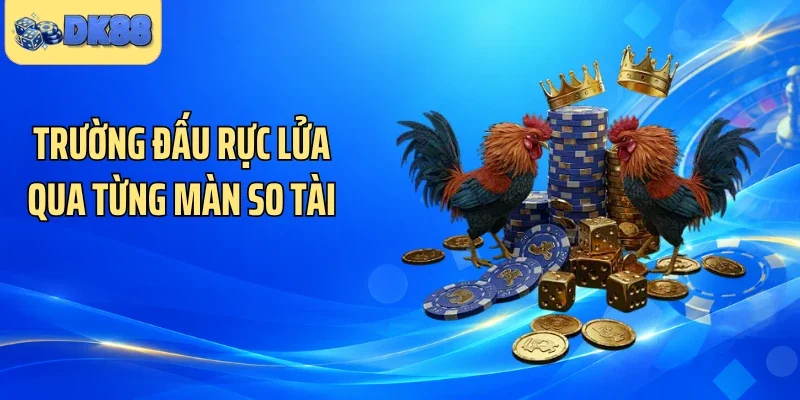 Trường đấu rực lửa qua từng màn so tài